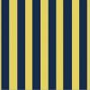 Rg11-12 riga grande blu su giallo ocra