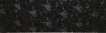 B1851/12016 