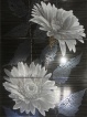 Decor Gerbera Black