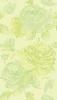 Queen rose verde prato