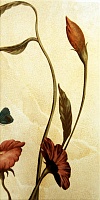 Decor (2) Ilusion Blanco