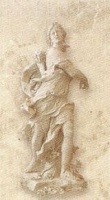 D.diana-b