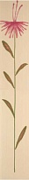 Flowers Beige Inserto D Mix 2