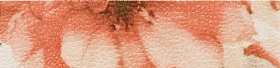 INSERTO FIORE 4