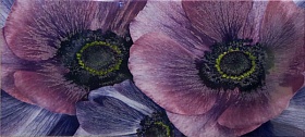 Decor Sansha Violet