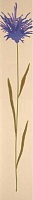 Flowers Beige Inserto B Mix 2