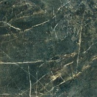 Jungle-v/p