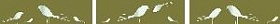 Missfap Papageno Listello S/3