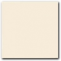 Sincro beige pav.