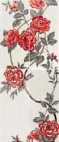 Comp.4pz viv.ros/ner.flor.