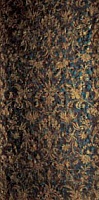 Fascia Shahrazard