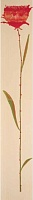 Flowers Beige Inserto A Mix 2