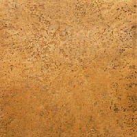 Dp600802r  