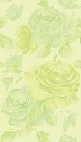 Queen rose verde prato