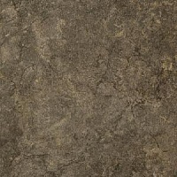 118704 palace gold nero 