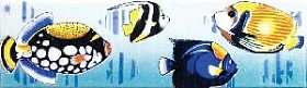 Pq02/2828 