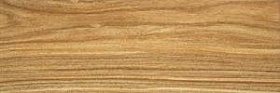 Timber oak