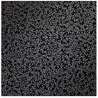     60 