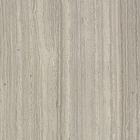 Travertino Silver Rett.