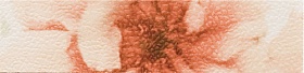 INSERTO FIORE 2