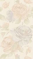 Queen rose bianco neve 