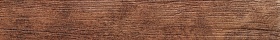 Gold Teak