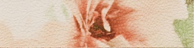 INSERTO FIORE 6