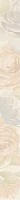 List. queen rose bianco neve 4,5*45 