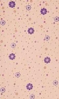 Paillettes 