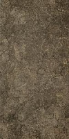 118004 palace gold nero