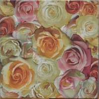  pavimento rosas 