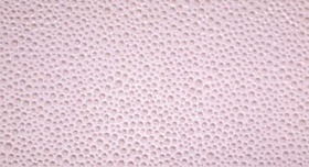 Pioggia Rosa Inserto