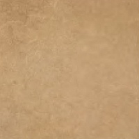 Magnifica sera / 