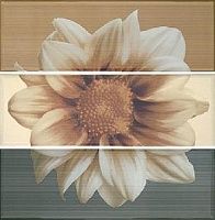 18107-416175 composition 7000 chloe beige-moka-marengo  (