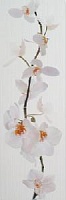  decorado orquidea