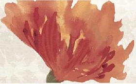 Flor decko fuego