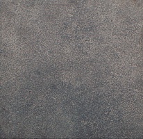 ANT