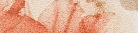 INSERTO FIORE 1