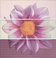 18107-415455 composition 7000 chloe lila lavanda blanco  (
