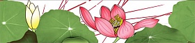 Cenefa Lotus